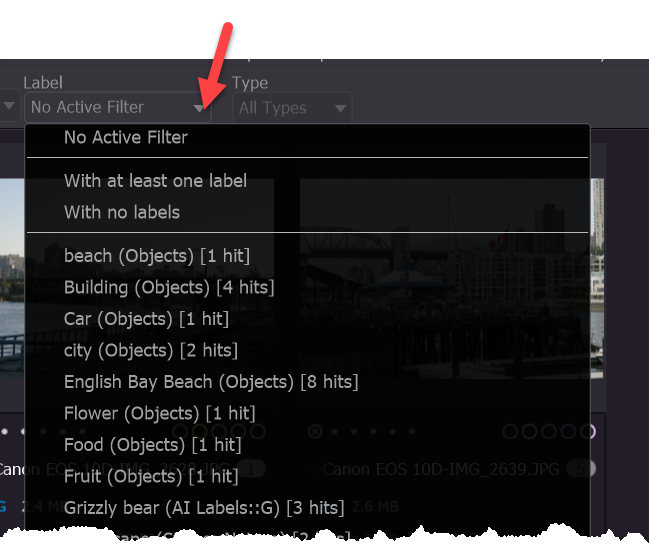 Photo Supreme screen for The Filter Bar