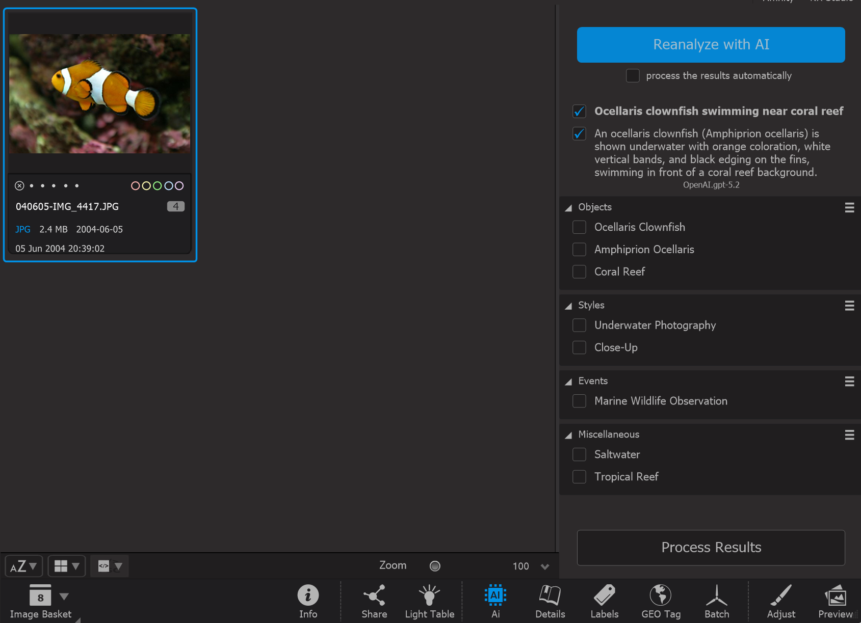 Photo Supreme screen for Using the AI Service