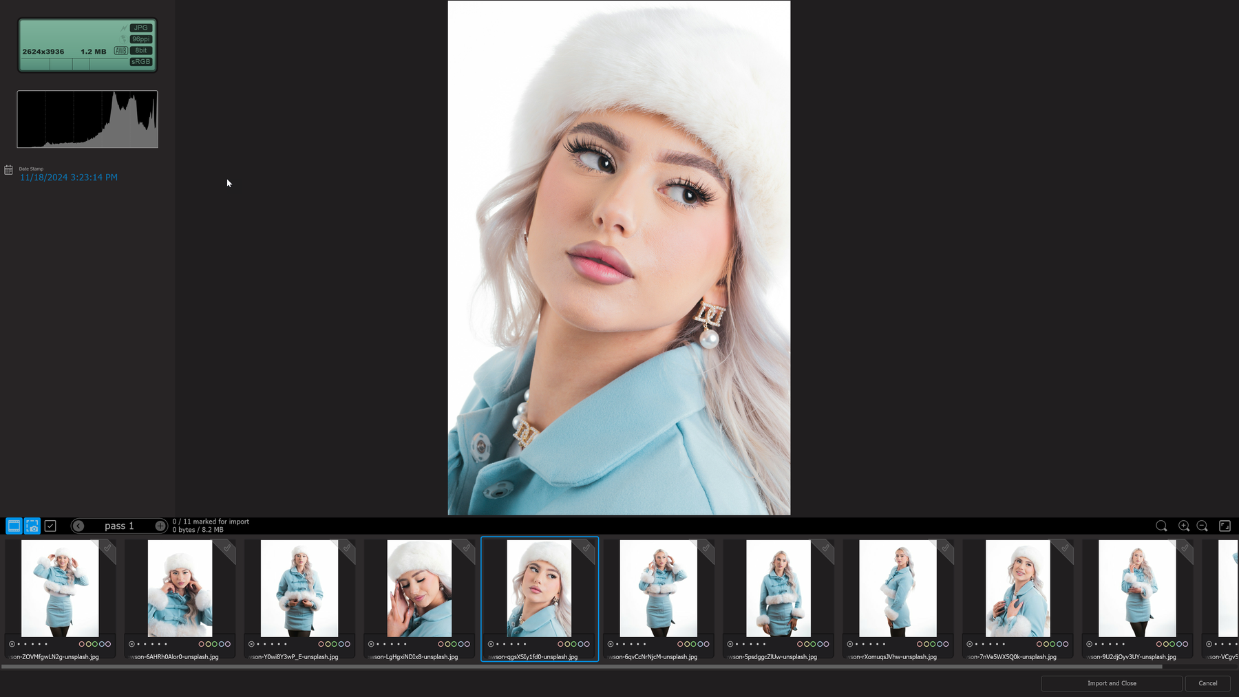 Photo Supreme screen for Import and Select
