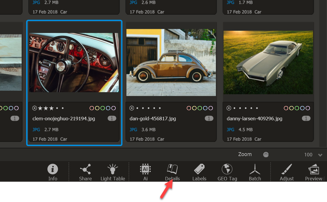 Photo Supreme screen for Editing Metadata as Image Details