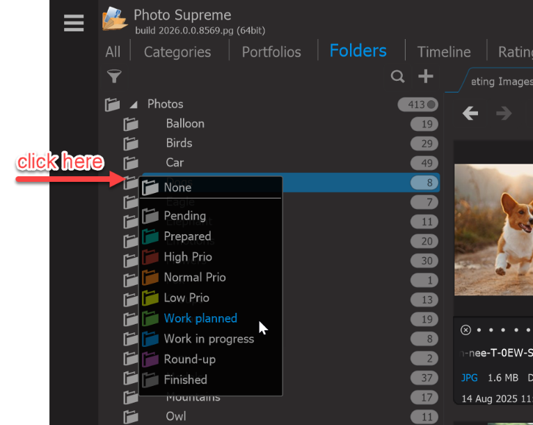 Photo Supreme screen for Marking Folders