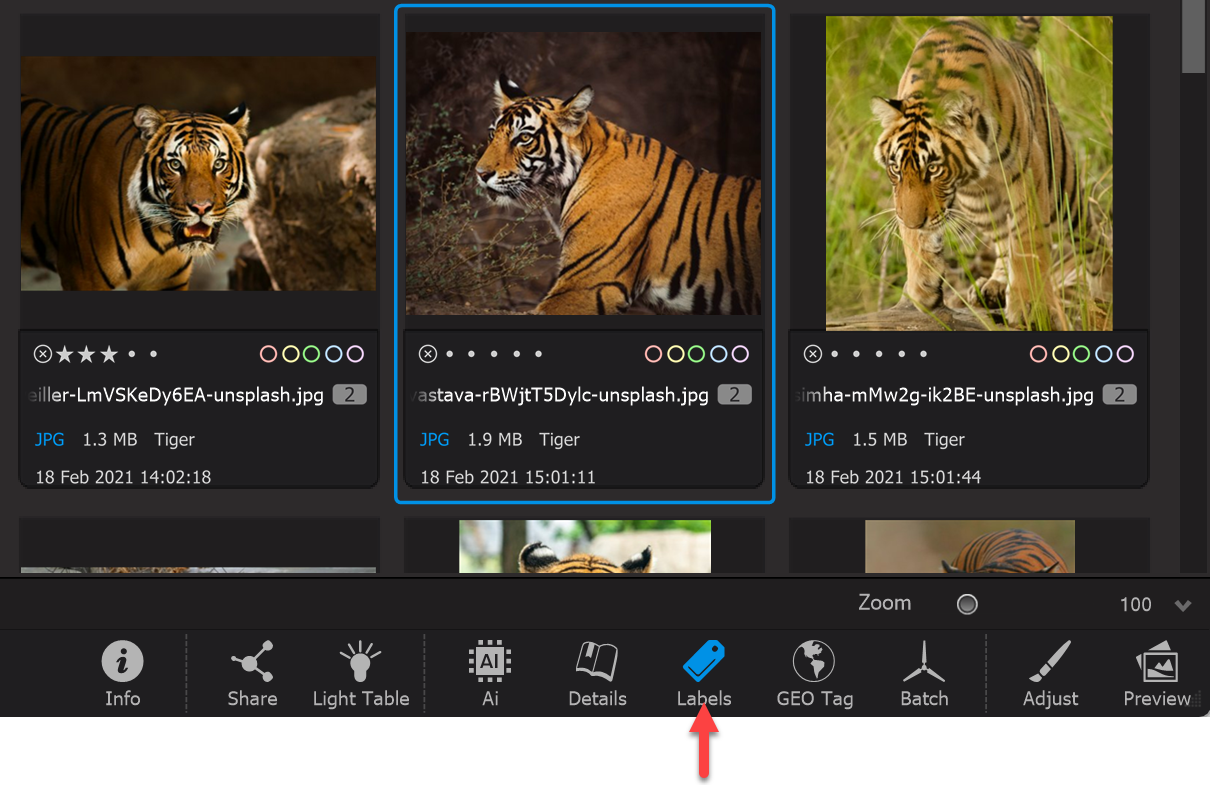 A screenshot of a computer
AI-generated content may be incorrect.