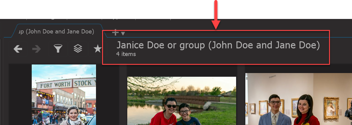 Photo Supreme screen for Catalog Explorer Searches