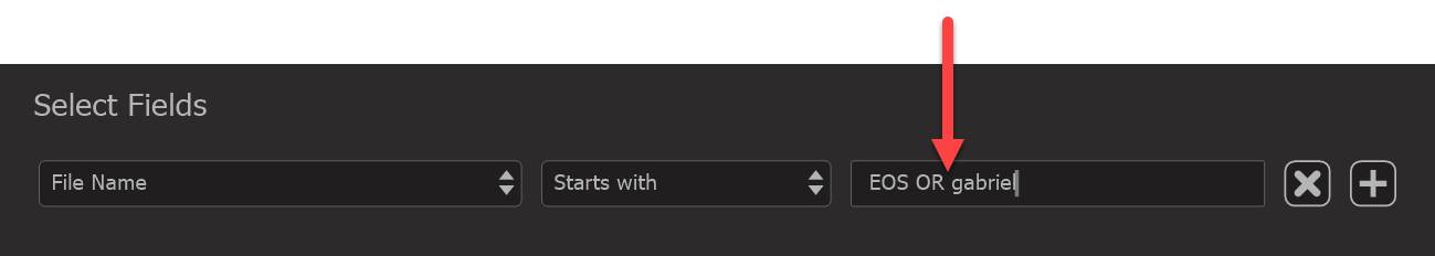 Photo Supreme screen for Advanced Search