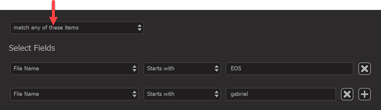 Photo Supreme screen for Advanced Search