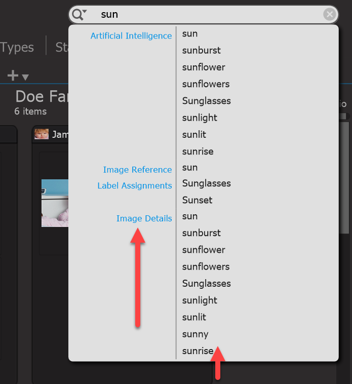 Photo Supreme screen for Simple Searches