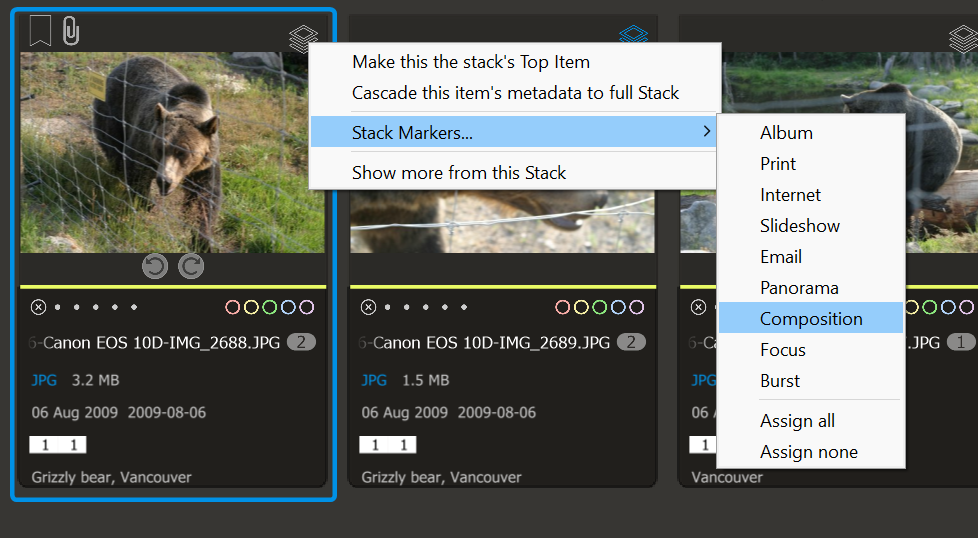 Photo Supreme screen for Working with Stack Markers
