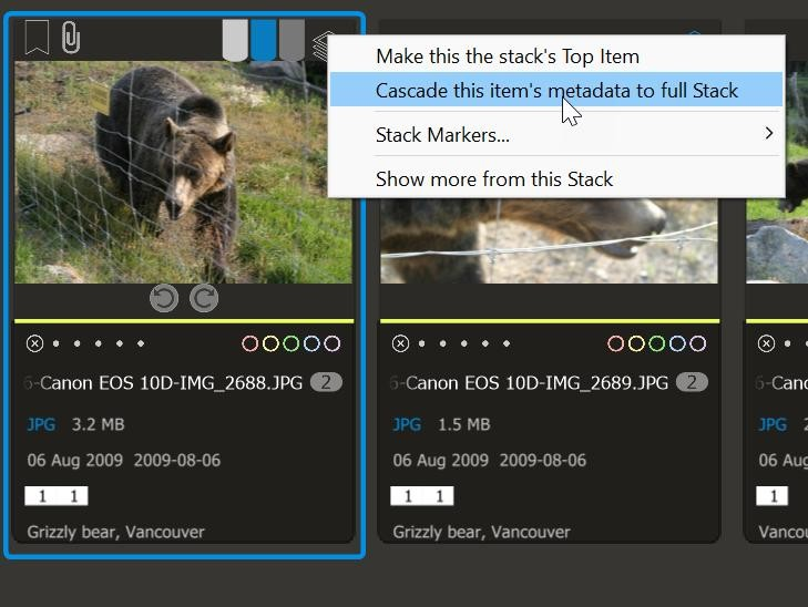 Photo Supreme screen for Cascade metadata to the stack