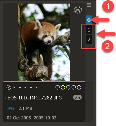 A screenshot of a video
Description automatically generated